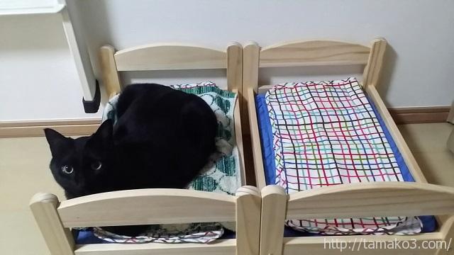 Ikea人形用ベッドを我が家の黒猫兄弟にも買ってみた